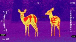 shop_property_file_44916_9324 (1)